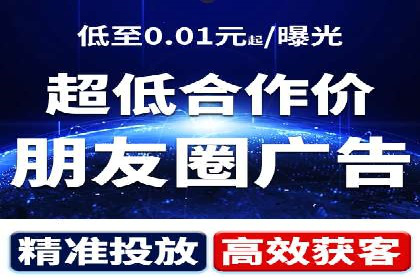 SEM公司案例研究：数据驱动营销策略